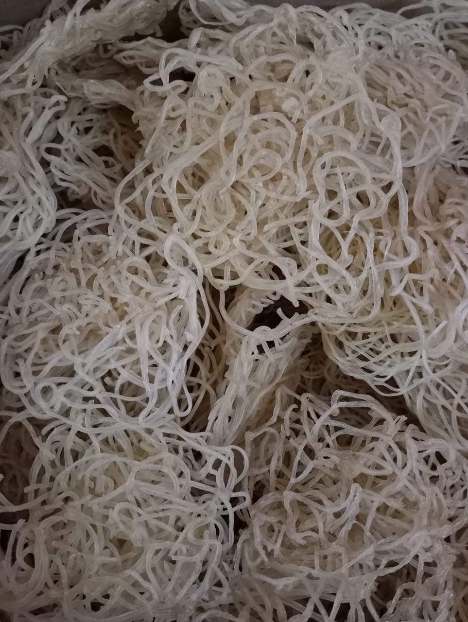 WhatsApp Image 2025-08-26 at 11.04.50_41389bf5.jpg